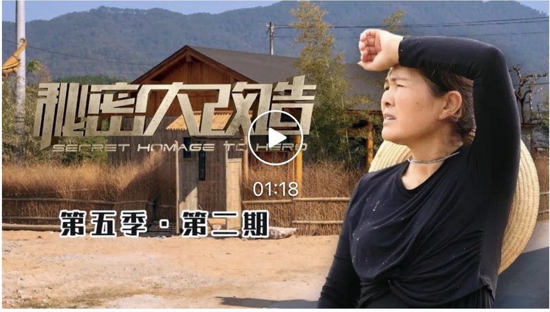 历经坎坷，胡晓萍撑起一片天；极限挑战，设计师建造暖心小木屋！
