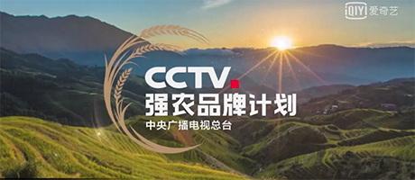 农业农村部持续加快推进“仿种子”清理工作